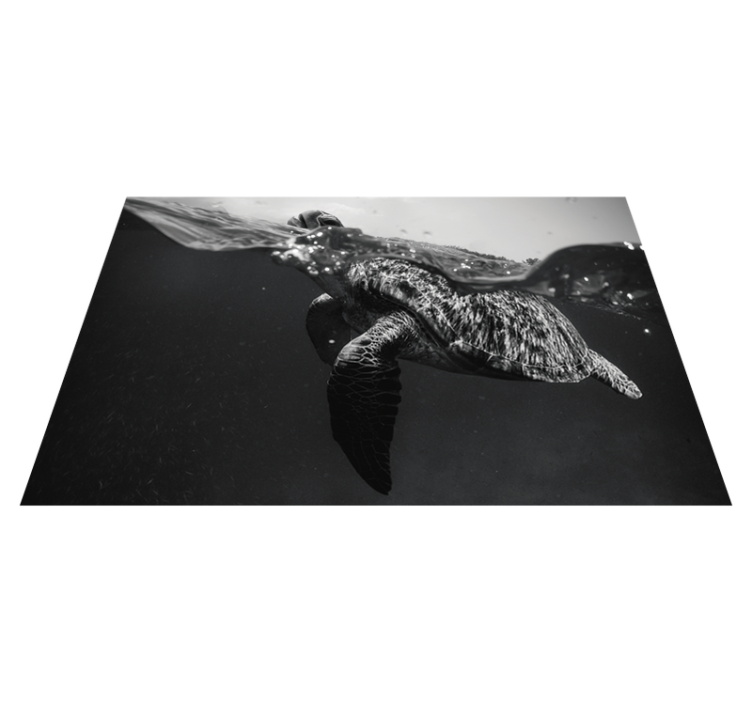 Textured placemats turtle underwater scene - TenStickers