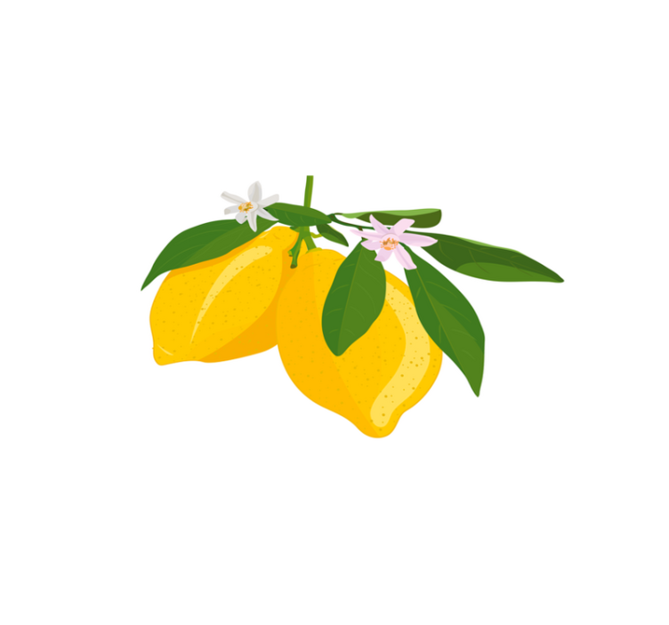 Floral Lemon citrus placemats - TenStickers