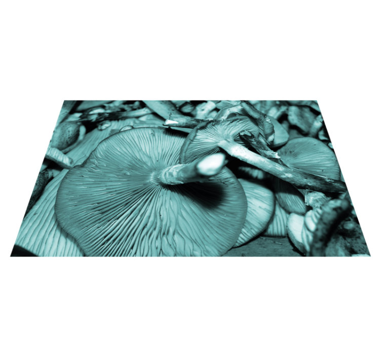 Blue oyster mushrooms gills textured placemats - TenStickers