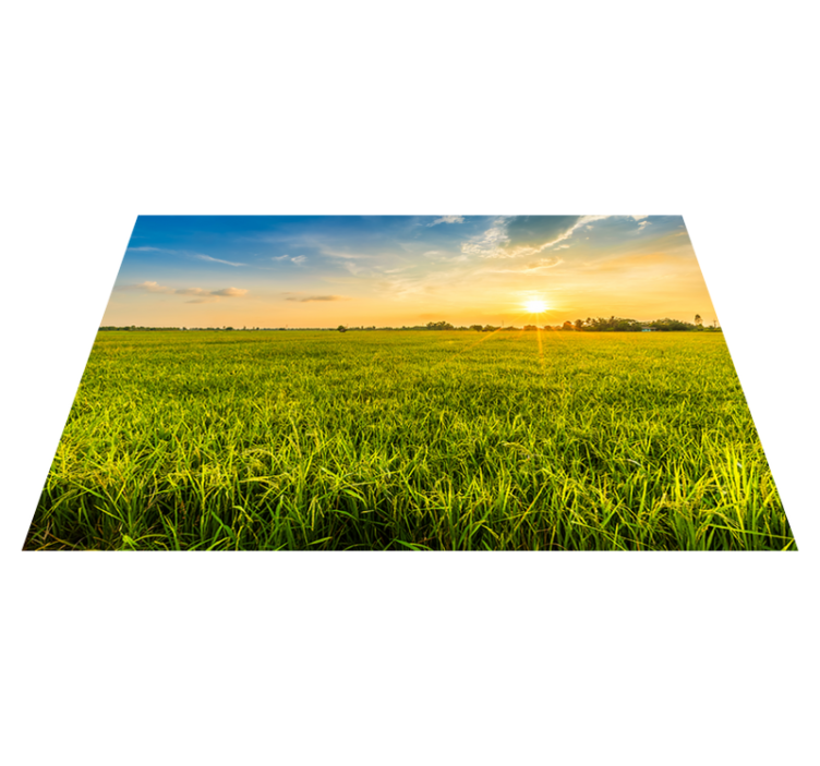 Personalised placemats sunset rice field - TenStickers