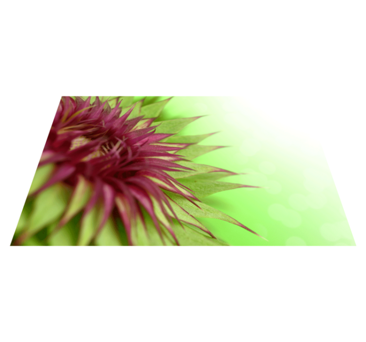 ThistleThistle is a prickly flowering plant found in the family A - TenStickers