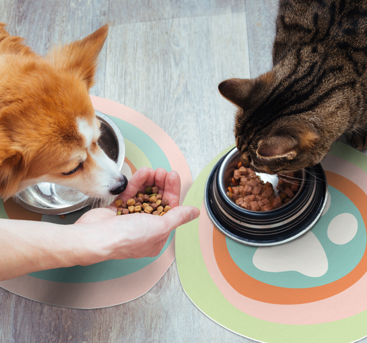 pet paws bowl original placemats - TenStickers