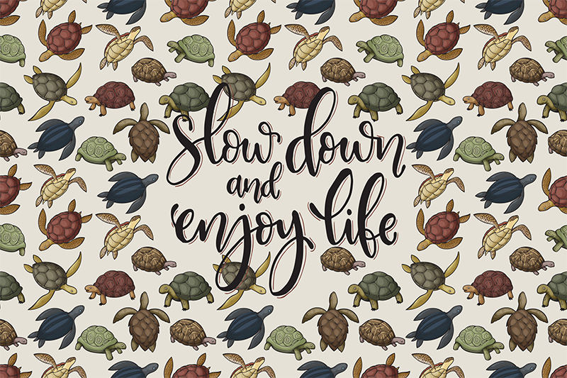 Variety of turtles text placemats - TenStickers