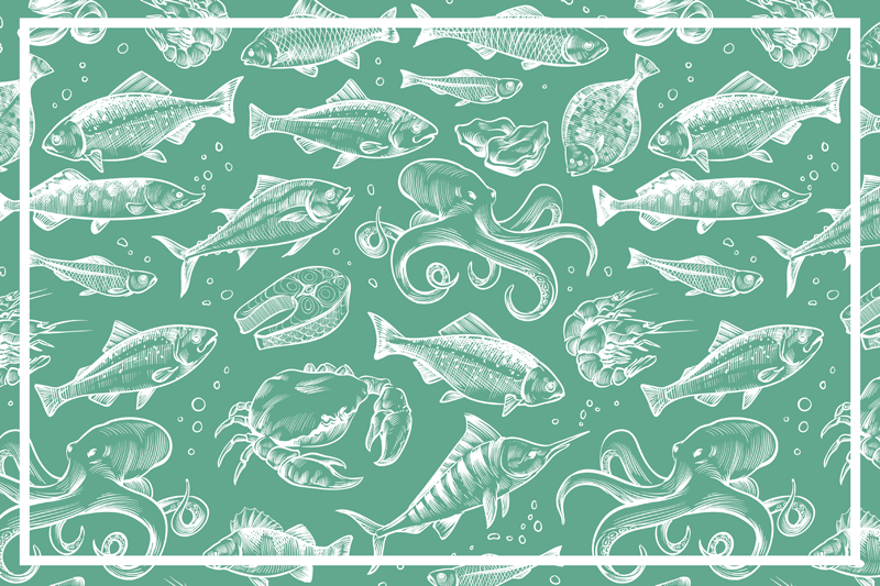 Sketch fish hand draw fish placemats - TenStickers