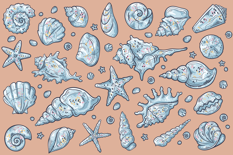Original placemats seashell pattern display - TenStickers