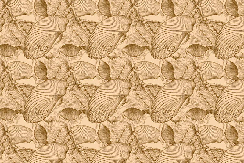 Textured placemats with shell texture surface - TenStickers