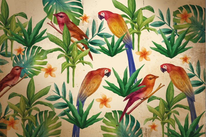 Tropical parrot original vinyl placemats - TenStickers