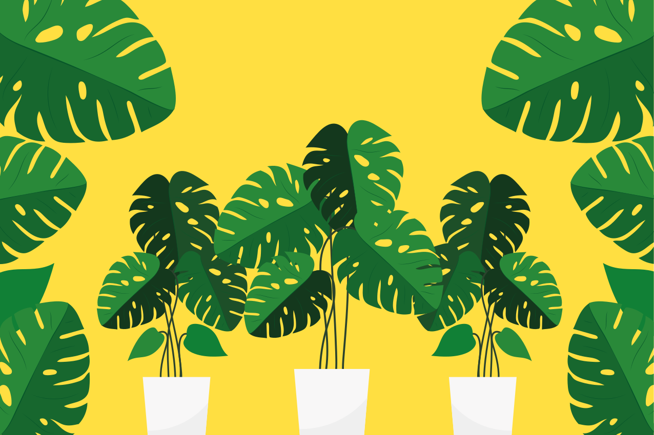 Modern placemats lively leafy design - TenStickers