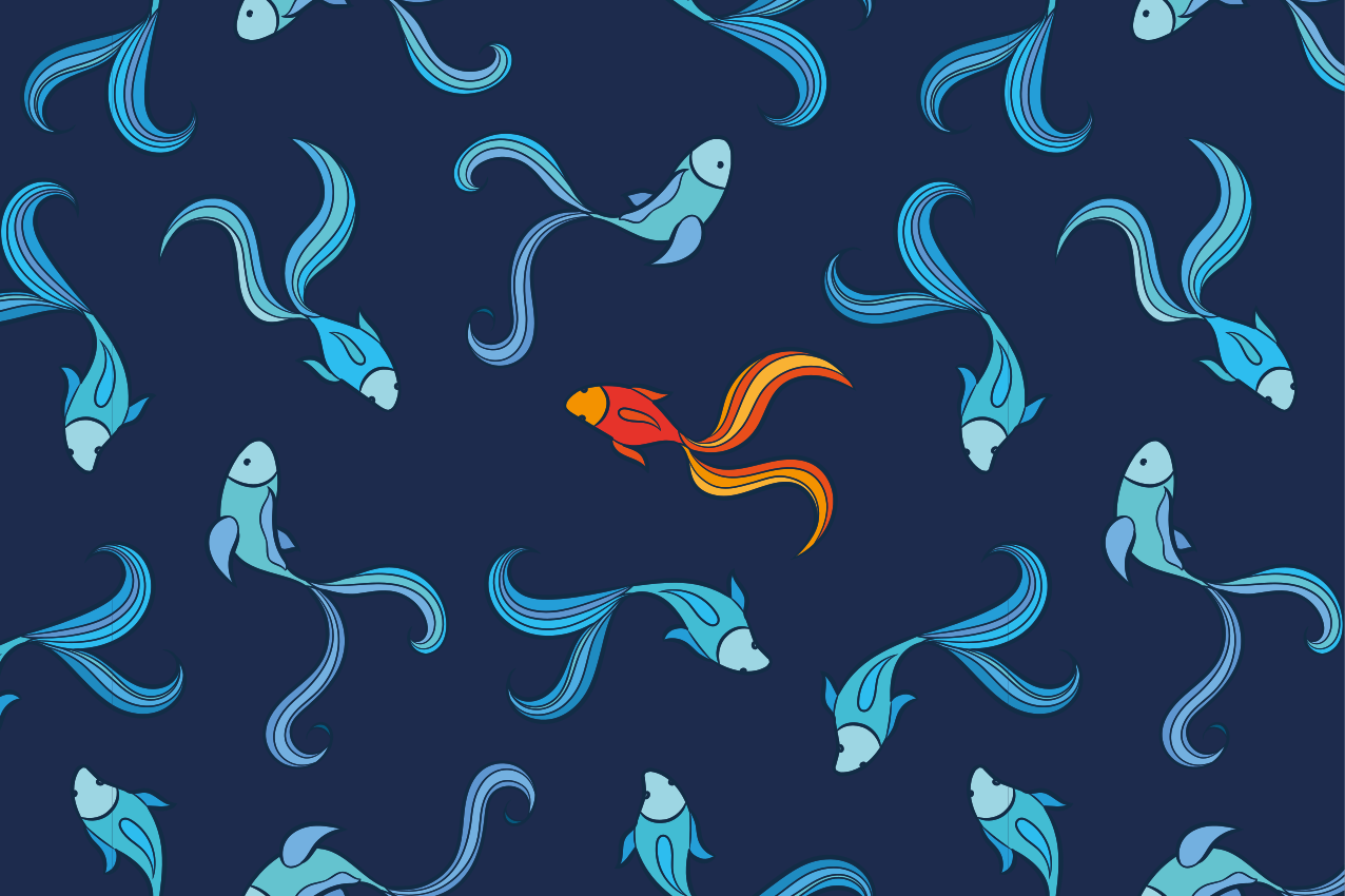 Original placemats with colorful fish design - TenStickers
