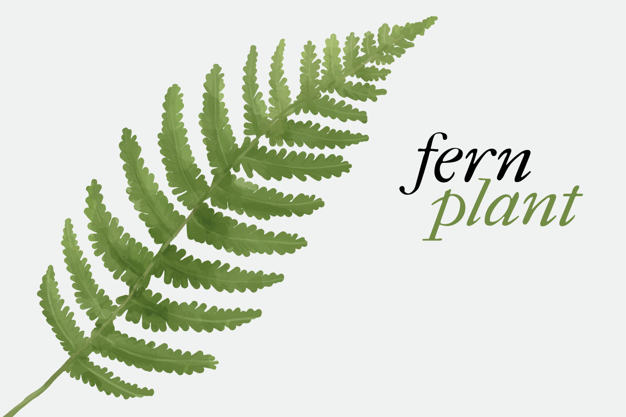 Original placemats fern plant arrangement - TenStickers