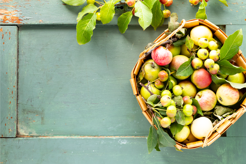 Home placemats fruit basket arrangement - TenStickers
