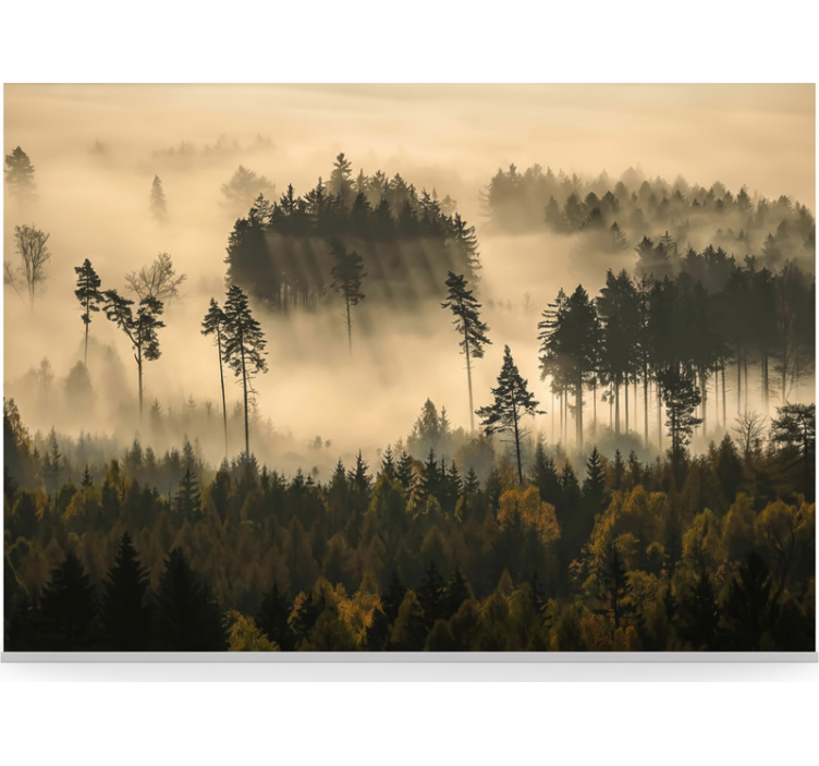 Forest wall mural ethereal morning mist - TenStickers