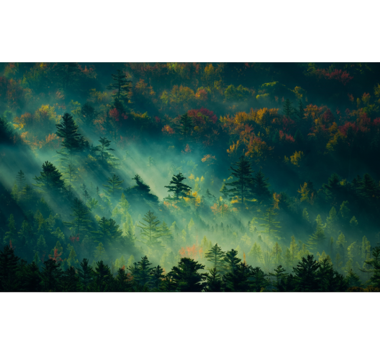 Forest wall mural the melancholy forest - TenStickers