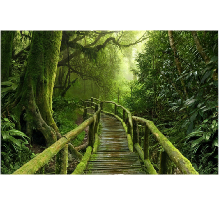 Forest wall mural lush mossy pathway - TenStickers