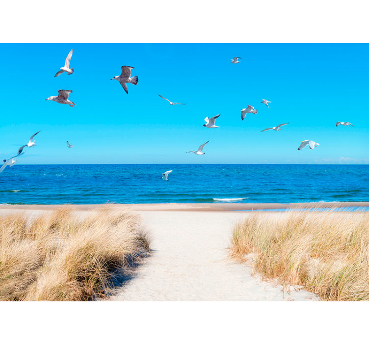 Seaside Serenity under the sea wall mural - TenStickers