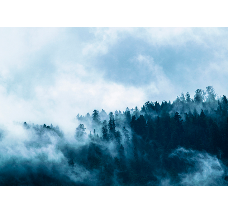 Misty Forest Scene living room wall mural - TenStickers