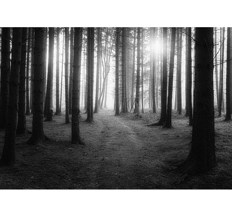 Grey forest wall mural for you - TenStickers