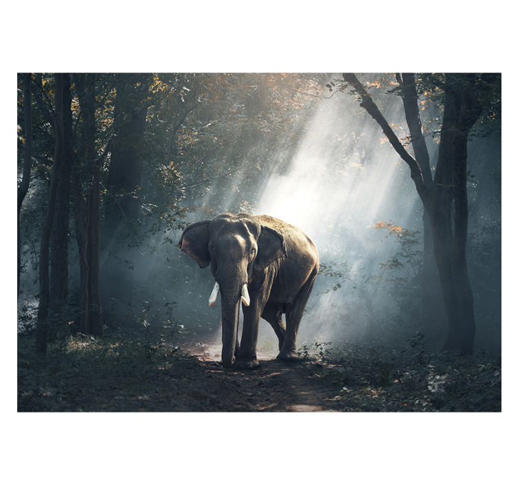 Elephant in forest wall mural - TenStickers