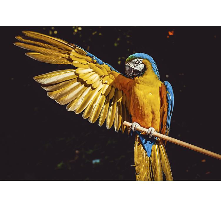 tropical bird wall photomural - TenStickers