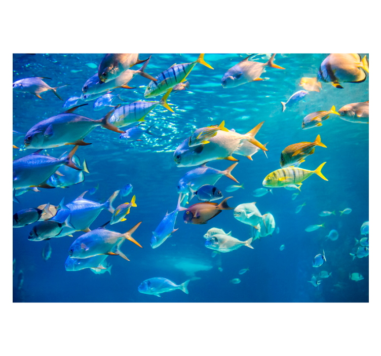 Animals wall mural underwater fish schooling - TenStickers