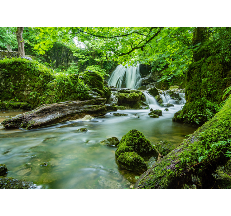 Wall mural nature tranquil forest stream - TenStickers