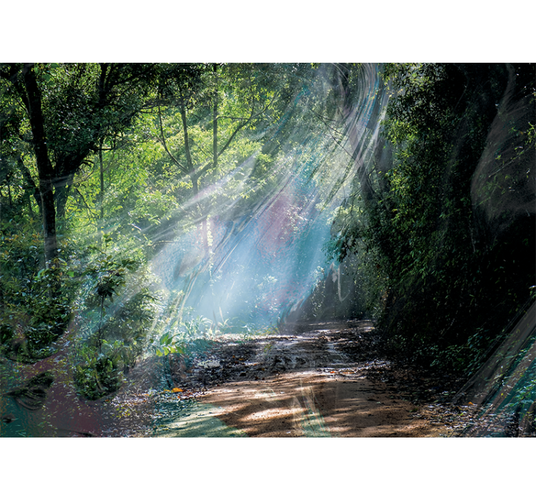 Wall mural nature radiant forest path - TenStickers