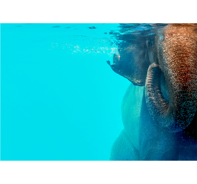Majestic Underwater Elephant animals wall mural - TenStickers