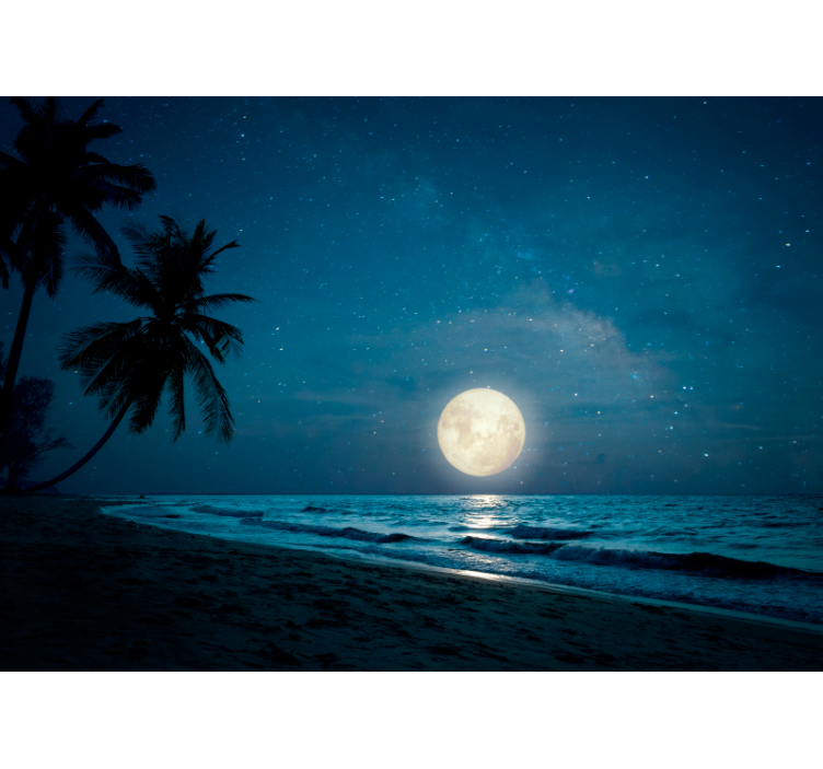 Moonlit Ocean Scene wall mural nature - TenStickers