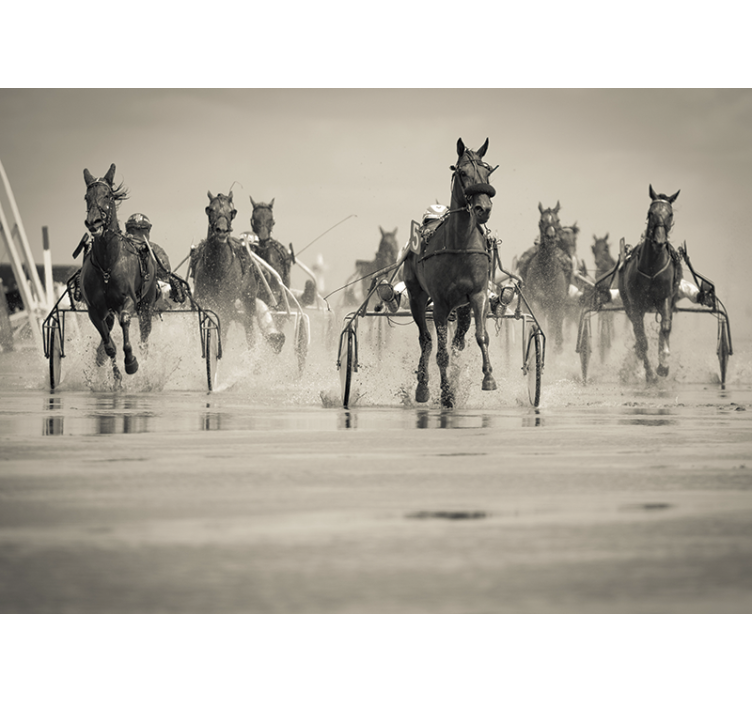 Horses Racing Together animals wall mural - TenStickers