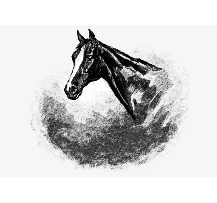 Animals wall mural stallion head decor - TenStickers