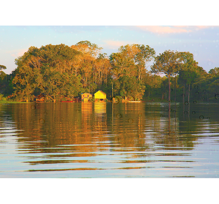 Amazonian house nature wall mural - TenStickers