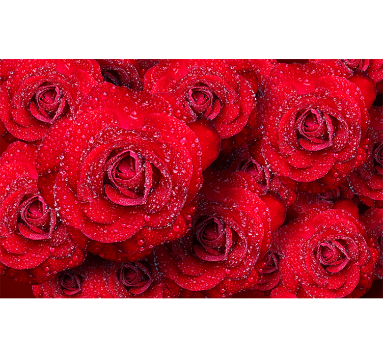 Wall mural roses red blooming roses - TenStickers