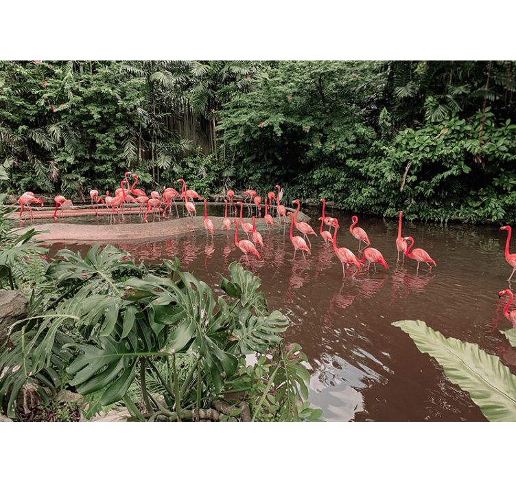 Flamingos by Water animals wall mural - TenStickers