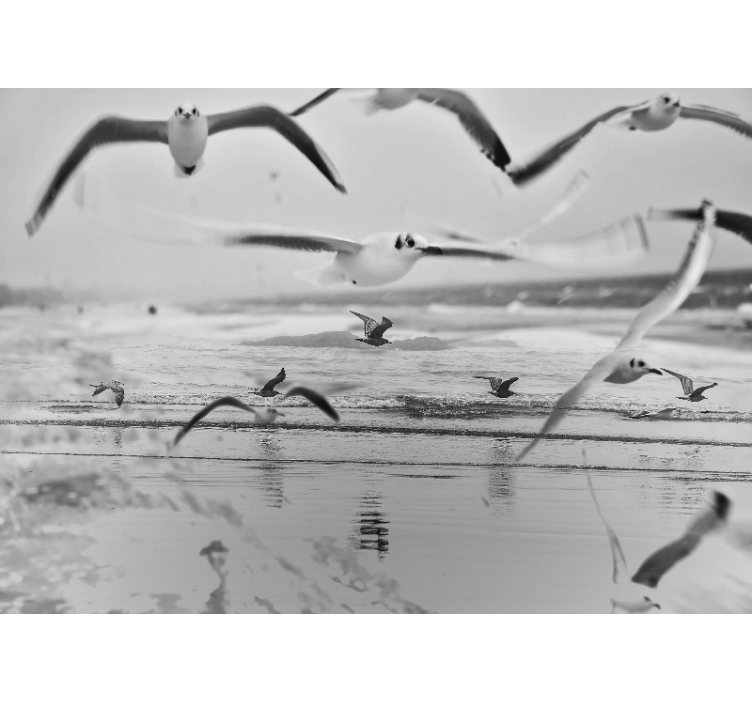 Seagulls Over Ocean animals wall mural - TenStickers