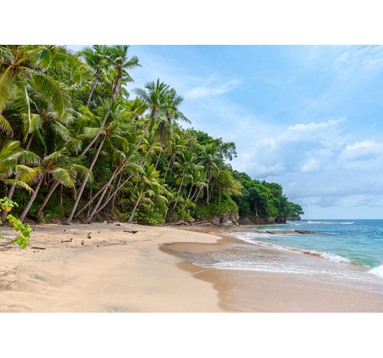 Beach paradise nature wall mural - TenStickers