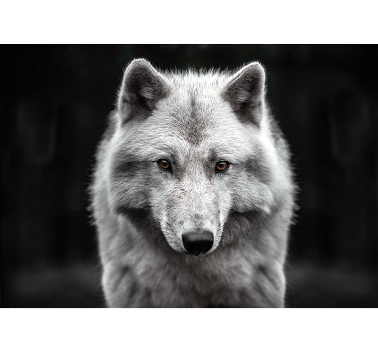 Majestic Wolf Portrait animals wall mural - TenStickers