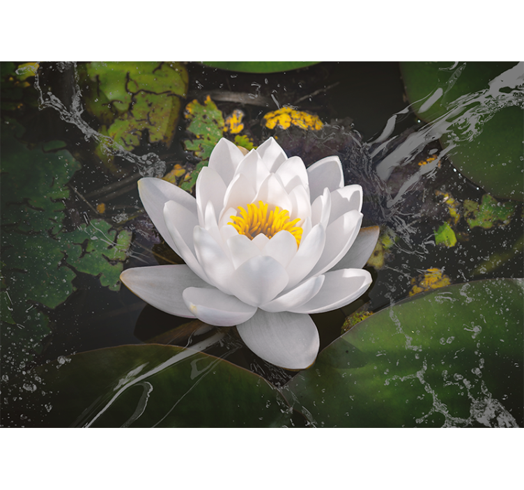 Flower wall mural lotus blossom tranquility - TenStickers