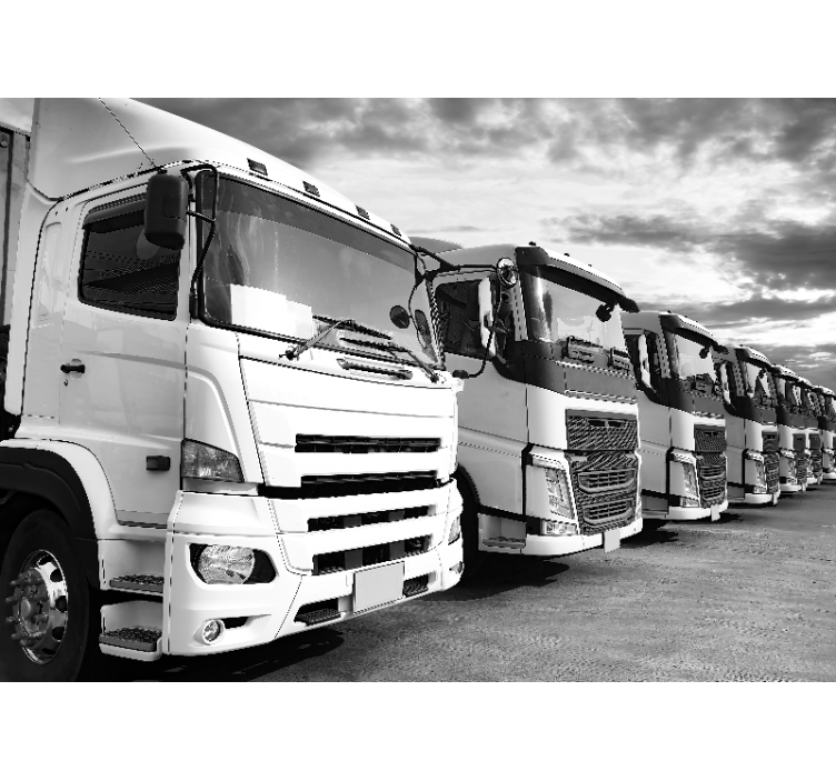 Wall mural vehicle trucks lineup - TenStickers