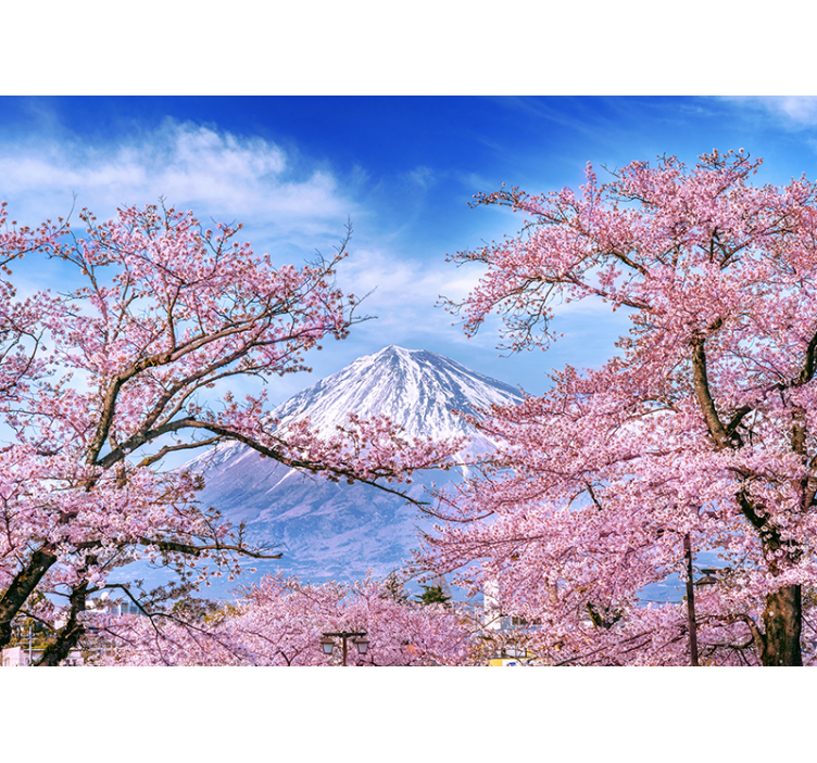 Wall mural nature cherry blossom landscape - TenStickers