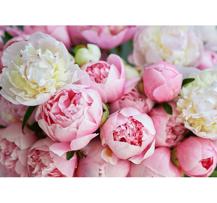 Bouquet pink roses wall mural - TenStickers