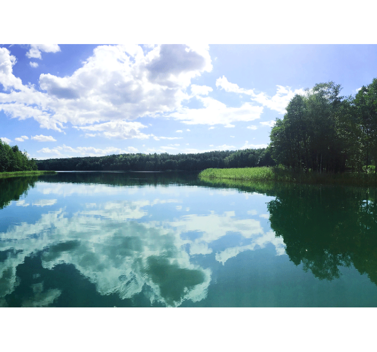 Serene Reflection lake wall mural - TenStickers