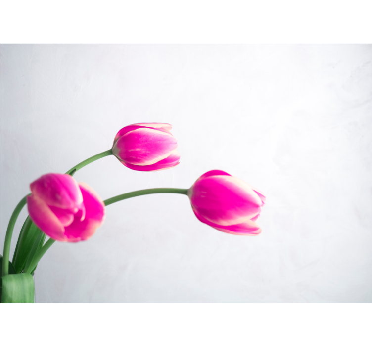 Poppy wall mural pink tulip blossoms - TenStickers
