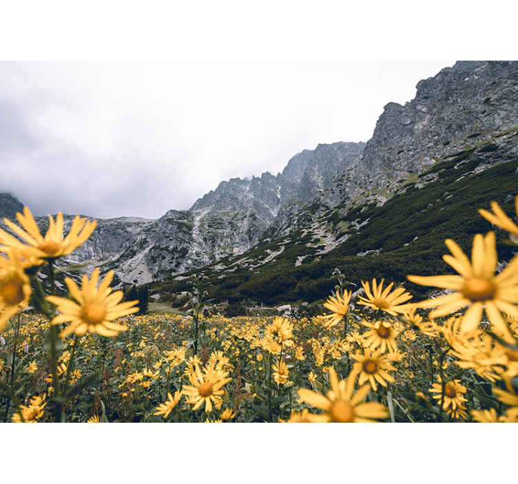 Yellow flower meadow flower wall mural - TenStickers