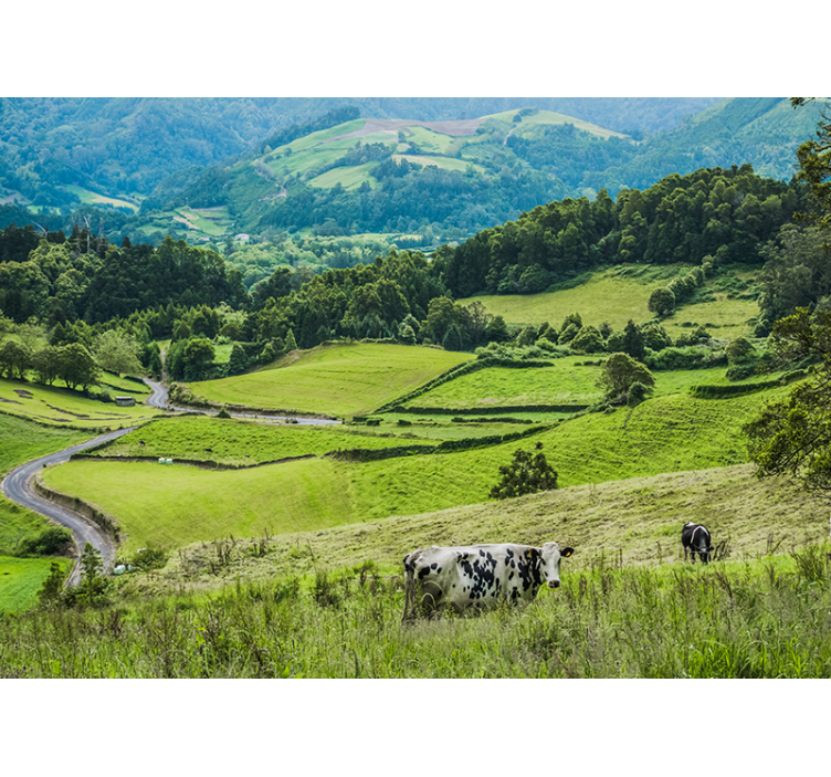 Landscape wall mural rolling green pastures - TenStickers