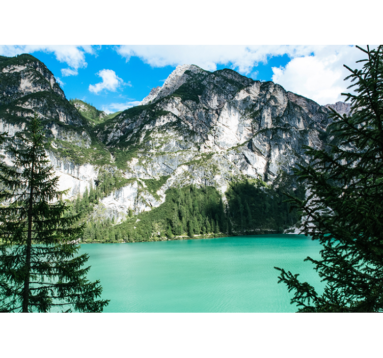 Landscape wall mural majestic mountain view - TenStickers