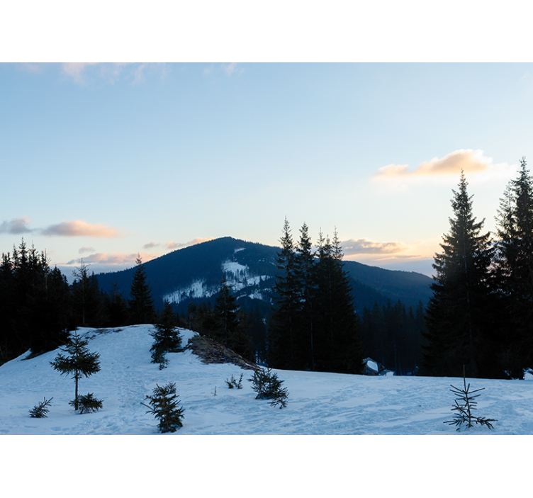 Wall mural mountain frosty summit landscape - TenStickers