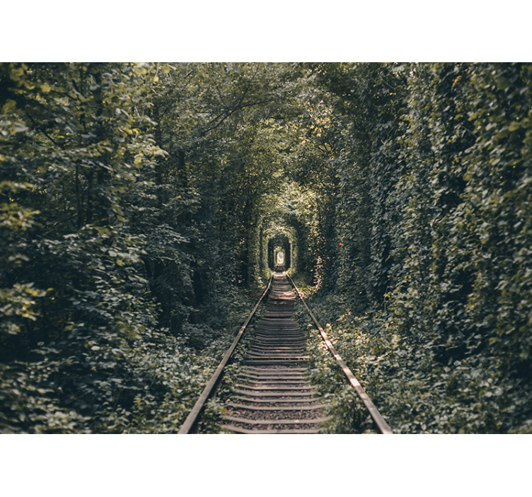 Landscape wall mural railway tunnel scene - TenStickers