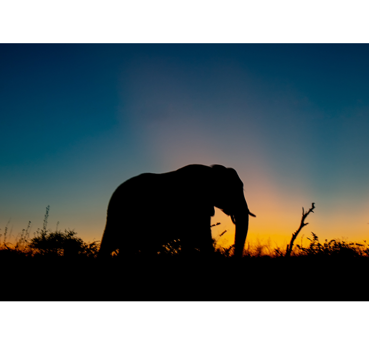 Animals wall mural elephant silhouette sunset - TenStickers