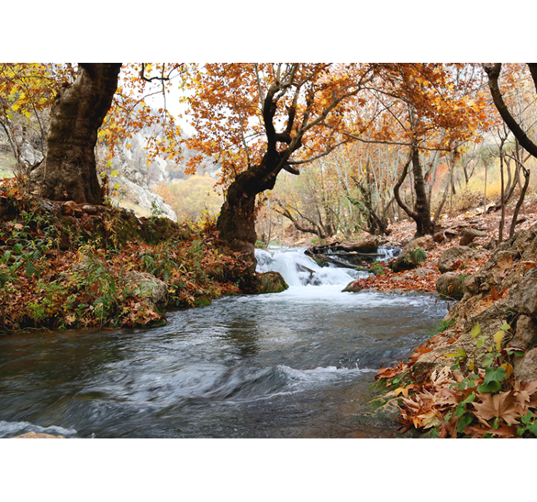 Wall mural nature forest stream tranquility - TenStickers