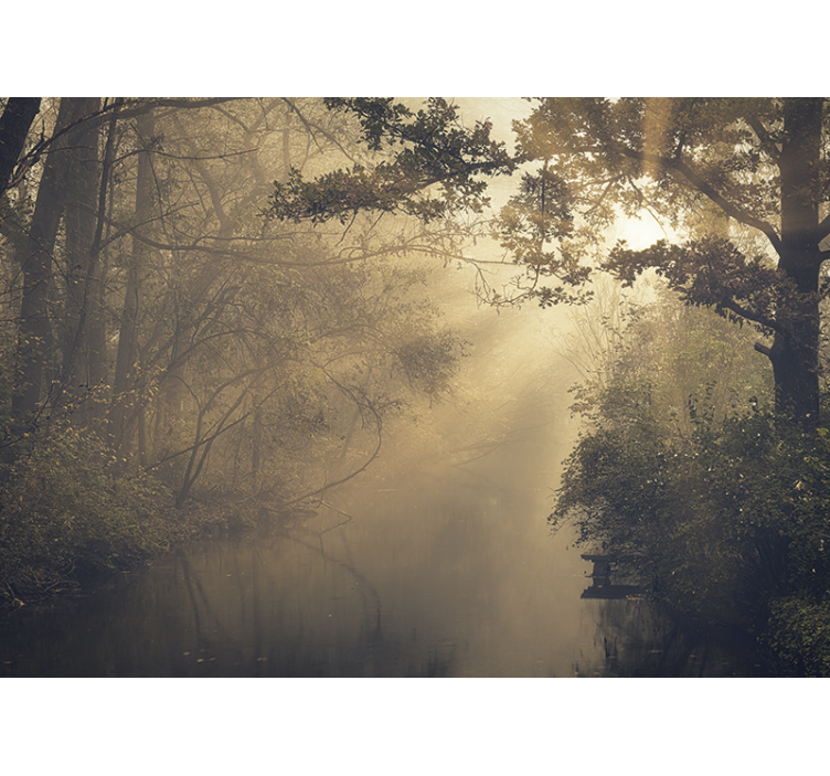 Wall mural nature luminous forest landscape - TenStickers